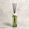 Aromatiko Xorou me Sticks Bliss Fleur Green 500ml 300212